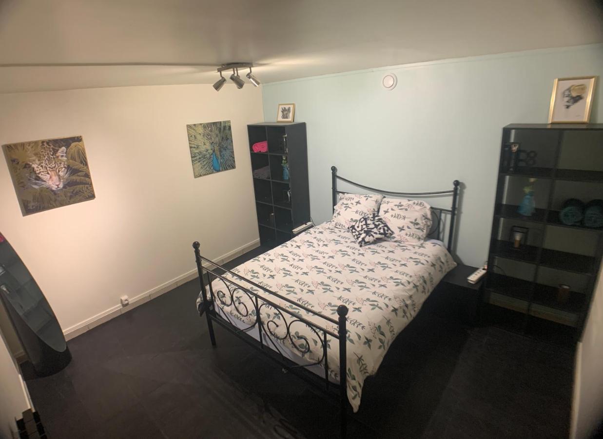 Appartement Cosy Proche Roissy Cdg Asterix Disneyland Paris Goussainville  Buitenkant foto
